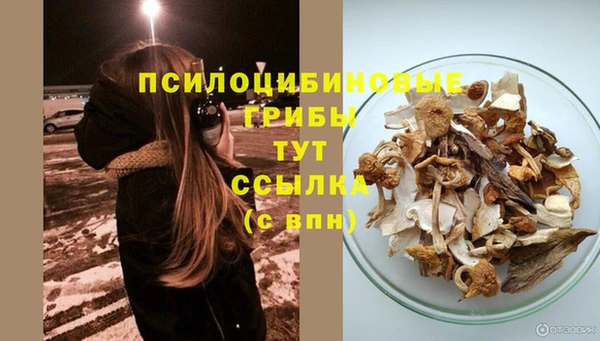 mdpv Надым