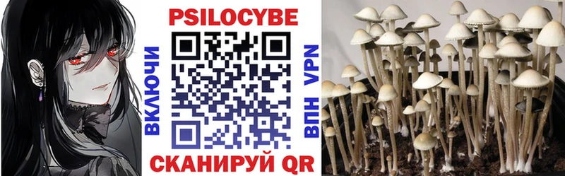 Галлюциногенные грибы Psilocybe  Мышкин 